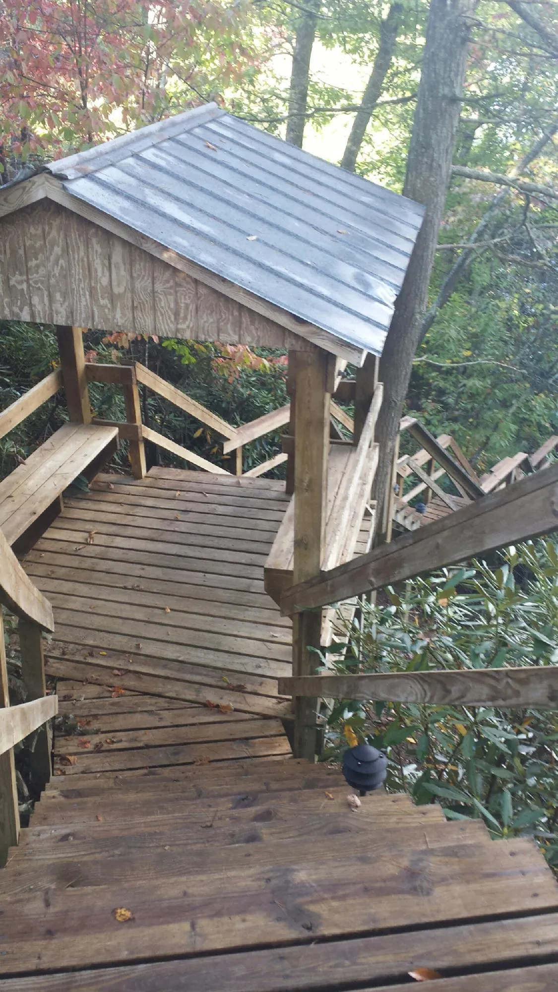 Metal roofed shelter over wooden steps on a wooded walkway — Skylight Repair & Installation work by our crew in Mamou